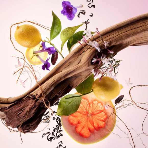 NEW Rare Beauty by Selena Gomez 
Find Comfort Niacinamide Hydrating Body Lotion - Picture 4 of 6